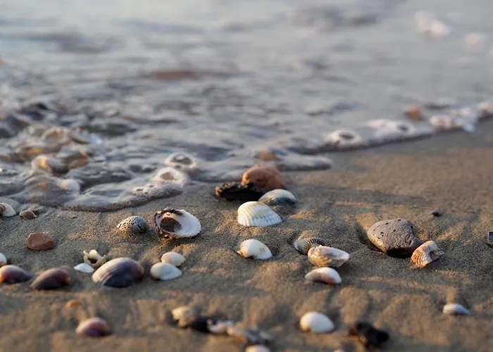 Comfy Flat 80m From The - Beahost Appartamento Bibione