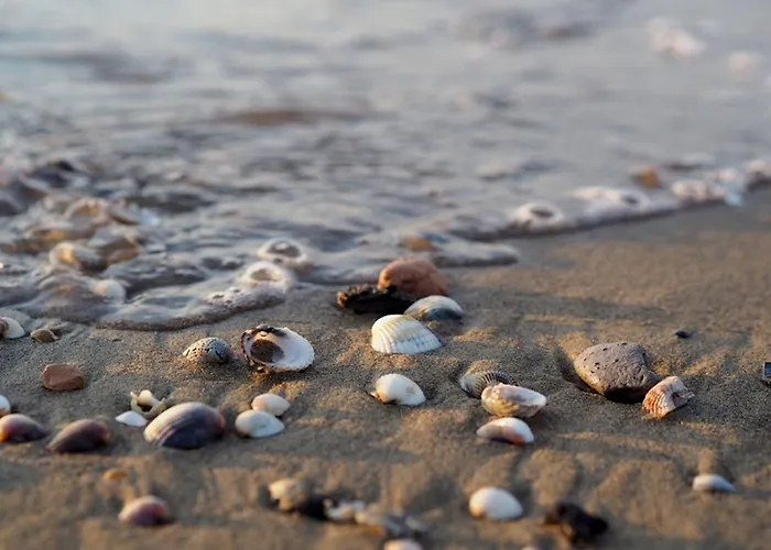 Apartment Comfy Flat 80m From The - Beahost